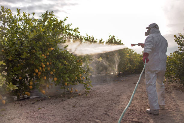 Lemay, MO Pest Control Company